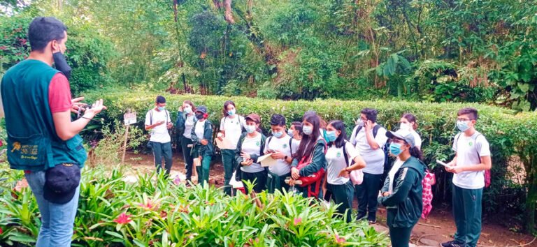 Sección Básica Secundaria - Colegio Los Samanes Ibagué